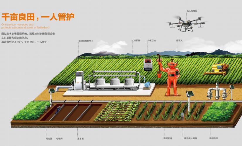 小草数字荣获国家级2023年度农业农村信息化示范基地认定，引领数字内容制作服务新篇章